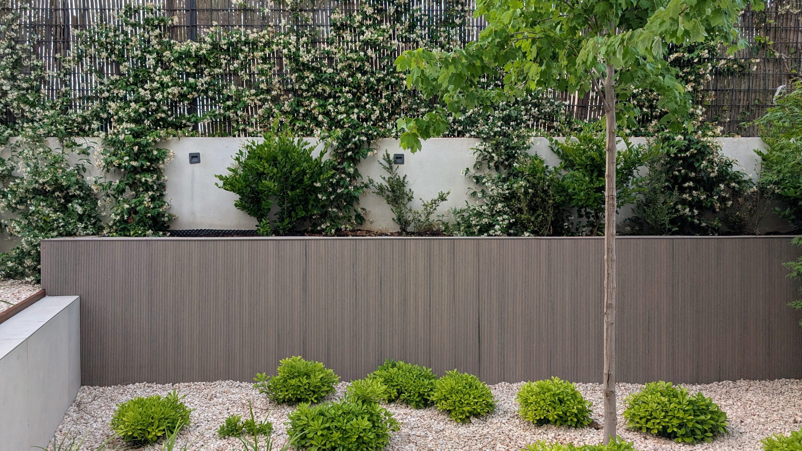 Jardín con vegetación y revestimiento exterior de madera